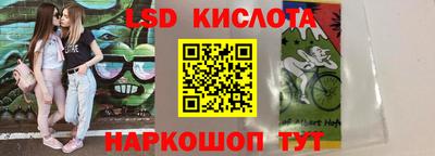 прущие грибы Гатчина