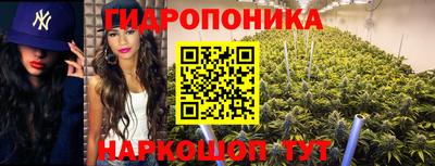 прущие грибы Гатчина