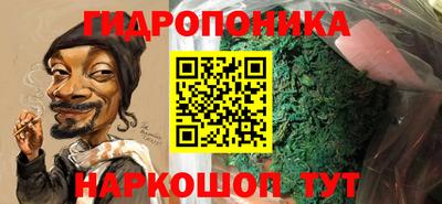 прущие грибы Гатчина