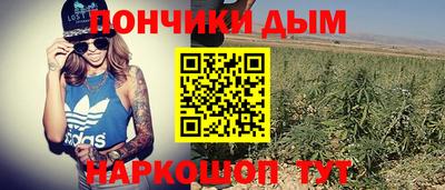 прущие грибы Гатчина