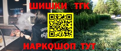 прущие грибы Гатчина