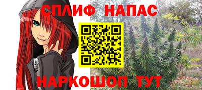 прущие грибы Гатчина