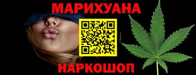 прущие грибы Гатчина