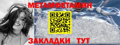 прущие грибы Гатчина