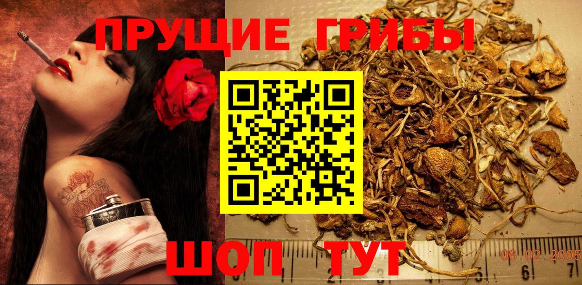 Галлюциногенные грибы мицелий  Вход с VPN  Нурлат 